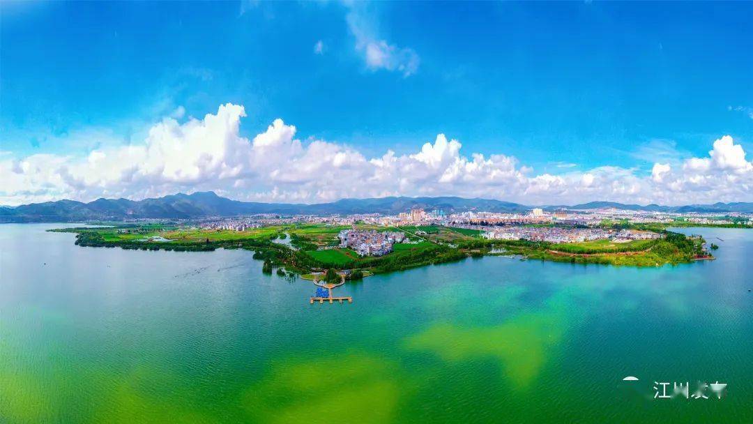 江川区丨星云湖畔的夏日清凉时光_相融_莲荷_中景