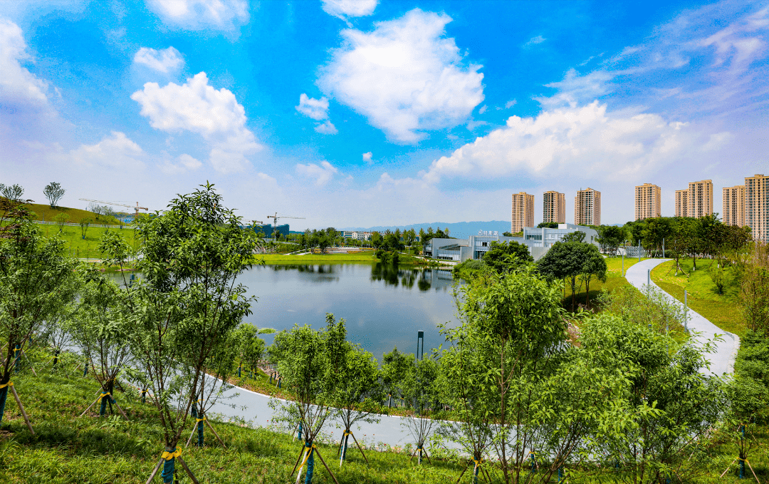 重庆高新区凤鸣湖公园图片