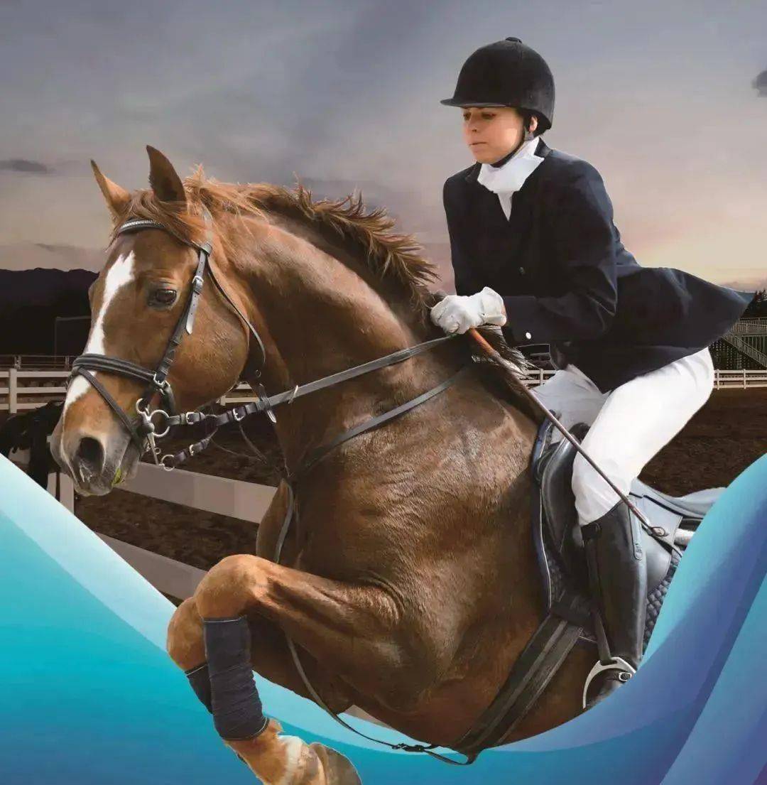 领略骑士精神雅鉴贵族风范保利私享马术贵族嘉年华燃情开启67