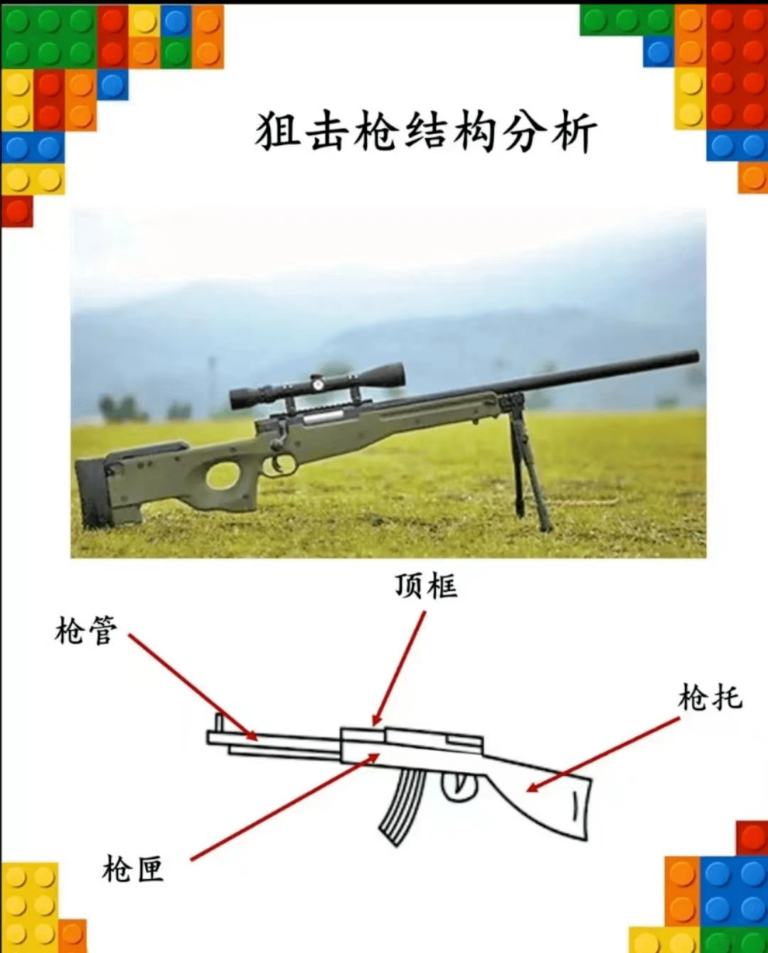 枪基本结构图片