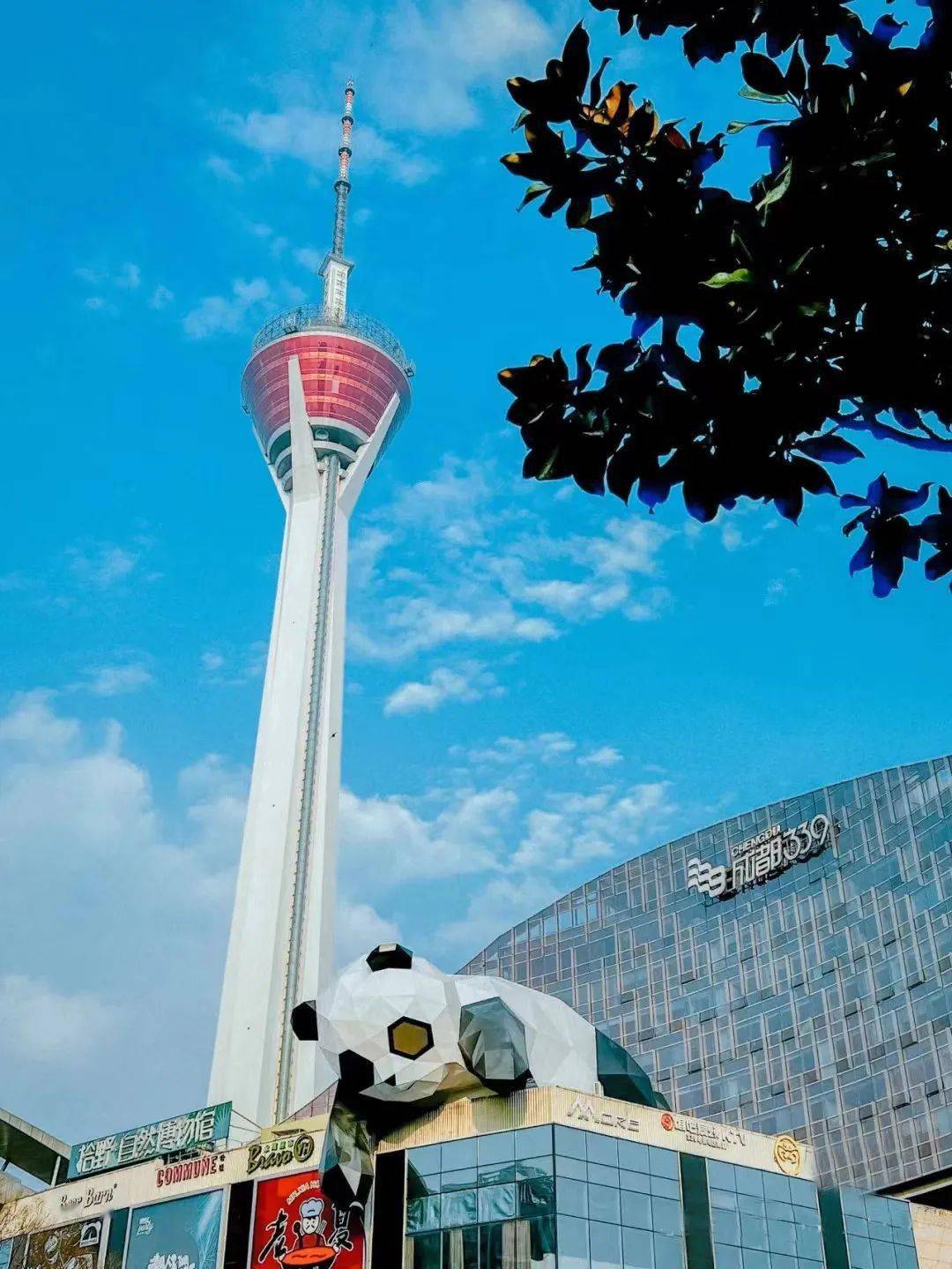 我出不了成都,你带一只熊猫走吧!