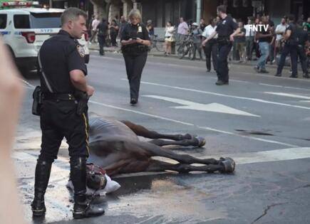 纽约街头商业马车马匹累倒后被车夫抽打，美媒：目击者“感到震惊”