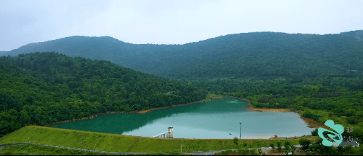 安徽人遊安徽 | 太美了!廬江獨山旅遊景區宣傳片新鮮出爐!