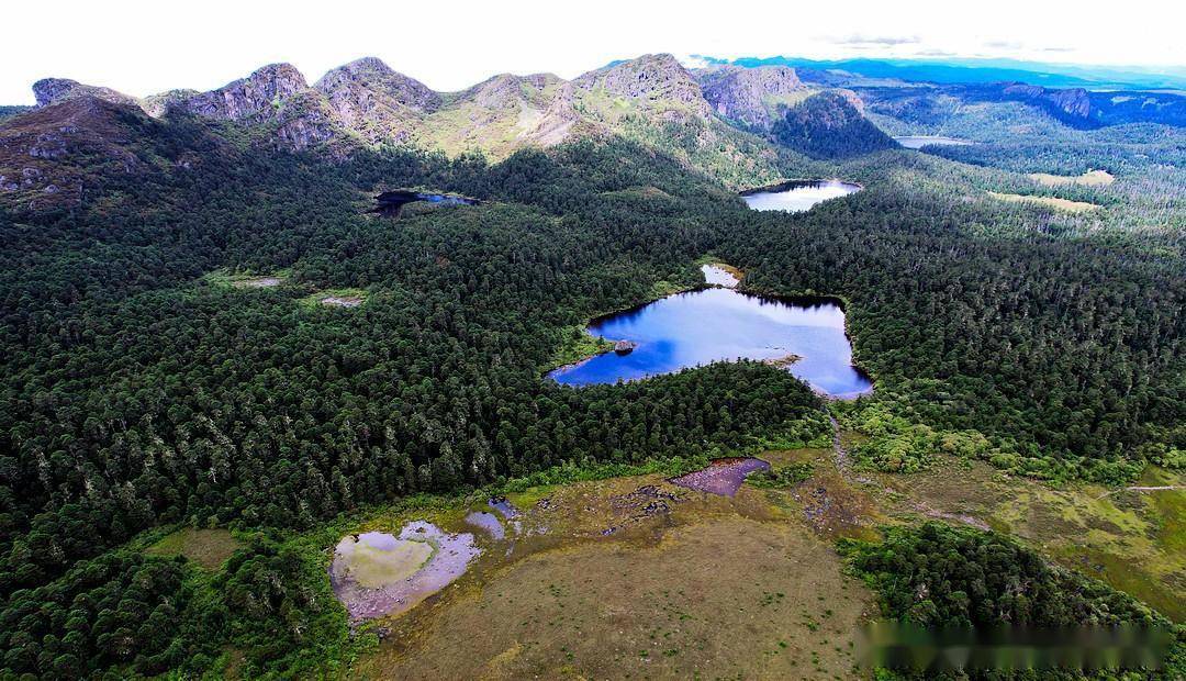 美得像天堂一样的地方——云南香格里拉千湖山_湖泊_杜鹃_高山