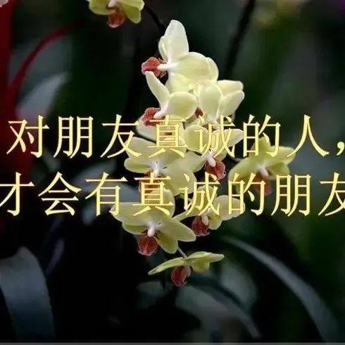 我喜欢真诚_生活_文摘_心灵