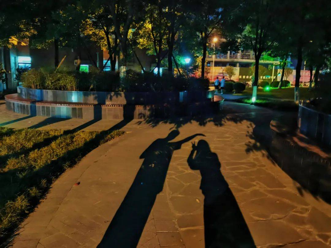 走到一个小公园里,灯光和月光交相辉映,我偶然发现地面上咱俩的影子