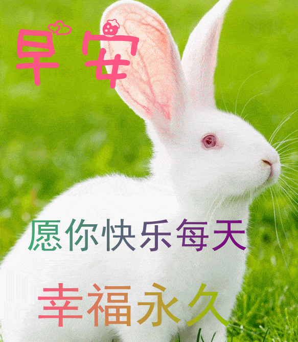 8月12日中元节最新早上好日常祝福语大全,早晨好日常问候语录新版!