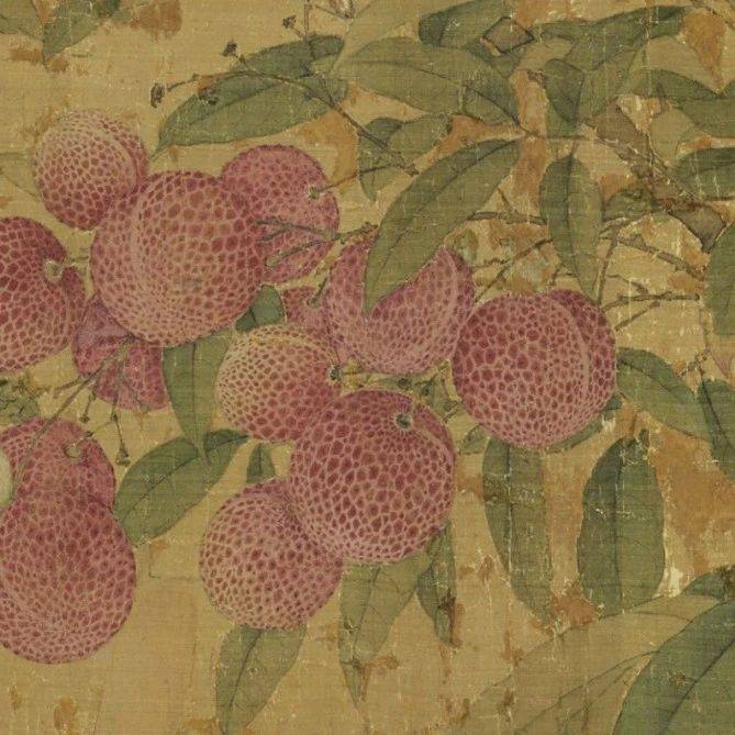 宋徽宗赵佶竟然是个画荔枝高手!_保和殿_翎毛_大英博物馆