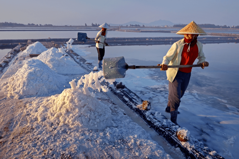 这其中,许多都是出自福建的莆田盐场!