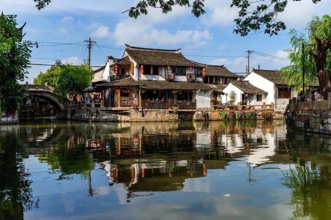 枫泾,让我们一起探寻夏日里历史文化名镇的人间烟火_古镇_金山区_水乡