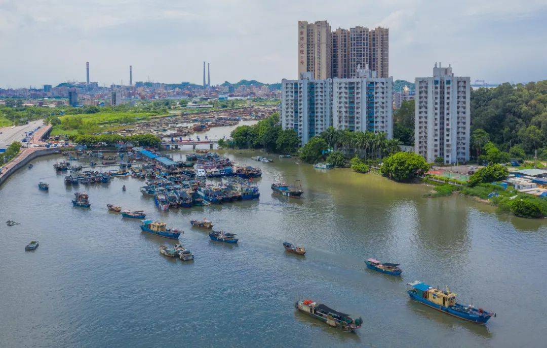 159艘渔船加大马力鞭炮齐鸣随着开渔号角吹响珠江口虎门水域百舸入海