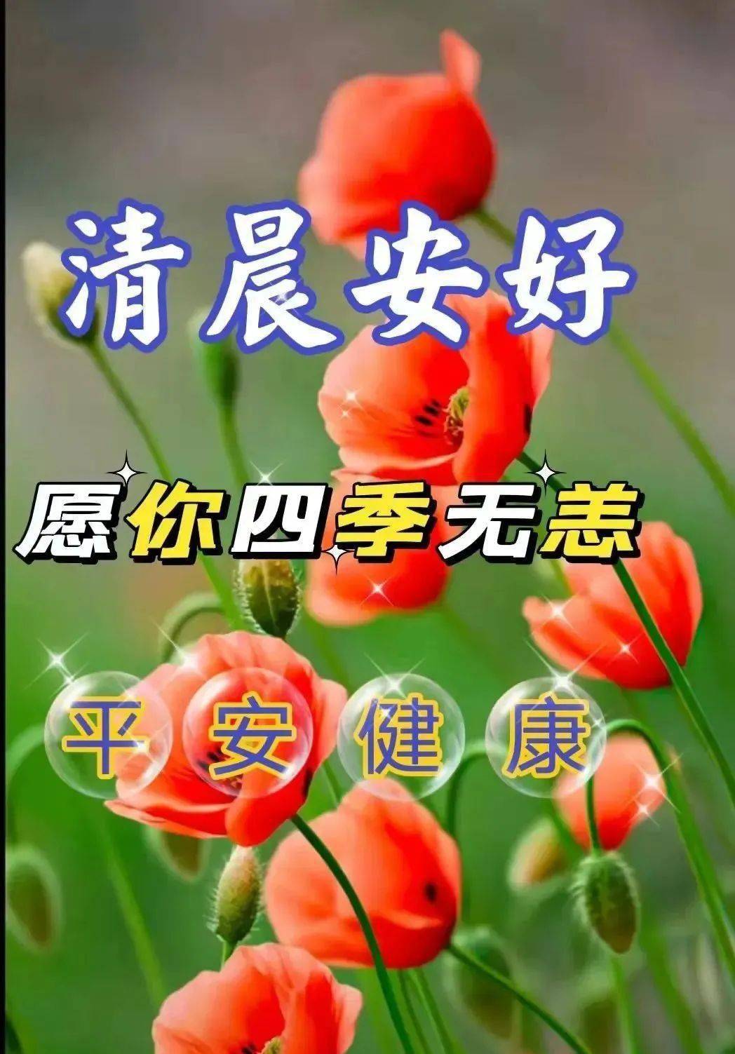 清早最新版早上好漂亮表情祝福图片