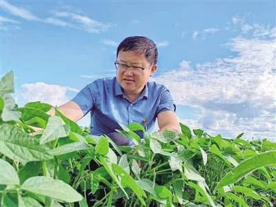从一粒种子出发——农学博士李强倾其所学助推乡村振兴