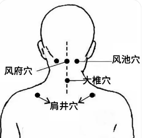 预防感冒的保健要穴有风池穴