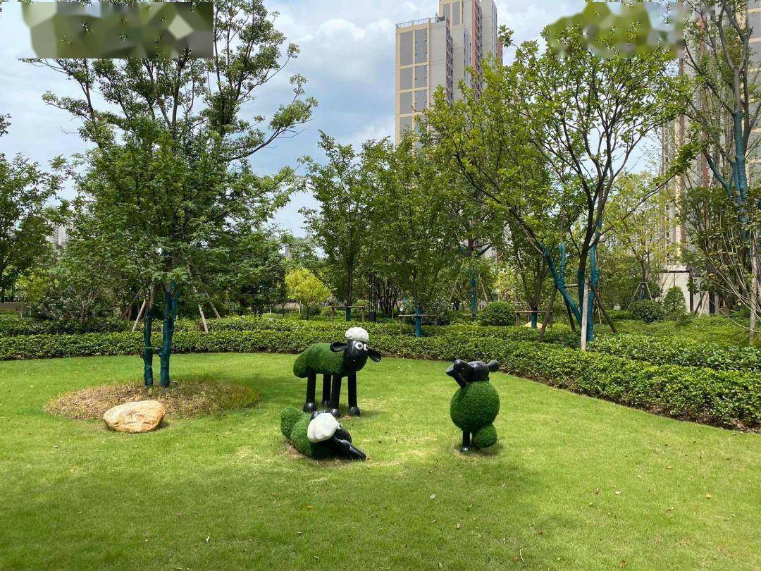 一手实景图!白沙洲日光盘正在交付,业主脚踏热浪收房