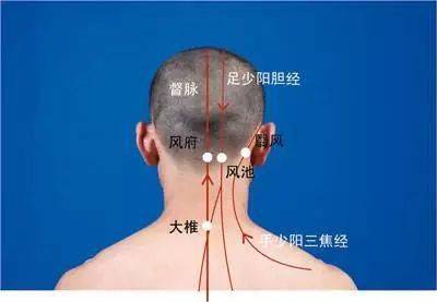 前言 在患眼同侧的后脑勺枕骨下缘区域及上段颈椎旁寻找压痛点