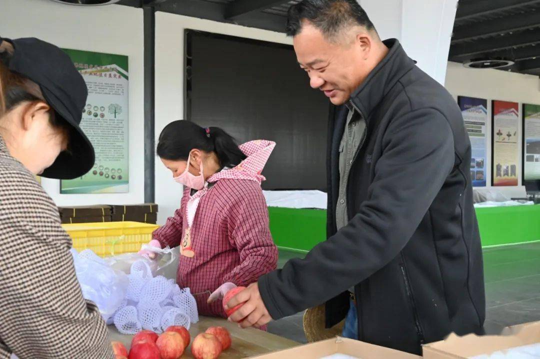 【劳模风采】张桥 :旬邑苹果转型升级的探索者_全县_前期市场_土桥镇