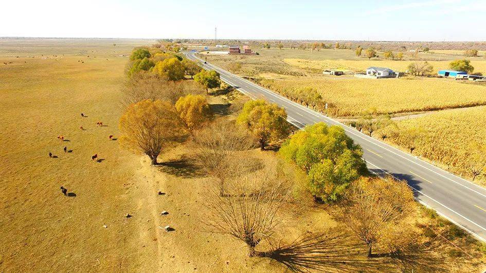 京藏高速k573水毁路段北半幅实现小车单向借道双向通行◆物流保通保畅