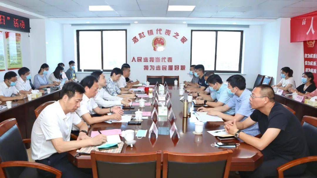 市区两级人大代表,区委副书记,代区长程松来到洛社镇代表之家,与惠山