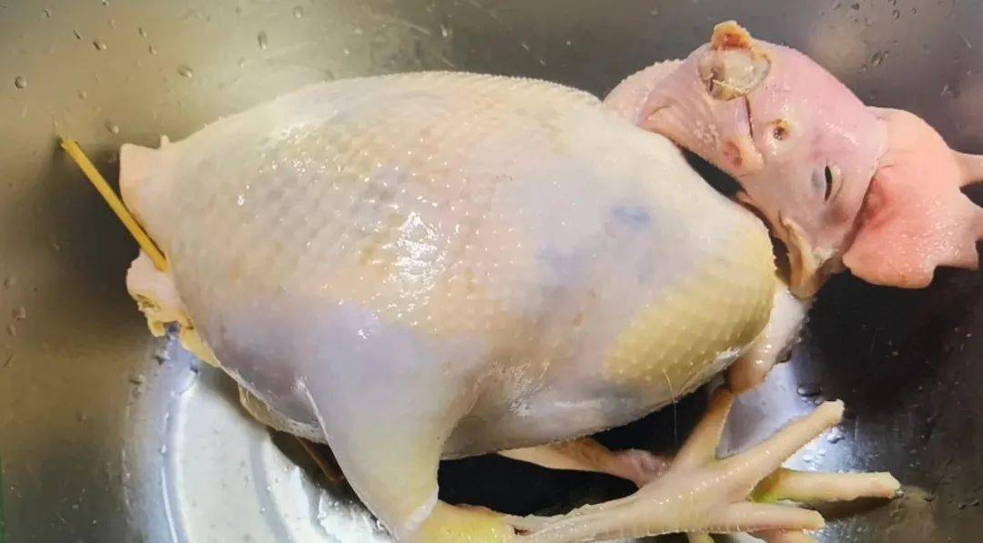 【美食淄博 · 博山传统名菜 · 八宝布袋鸡】_食材_馅料_菜品