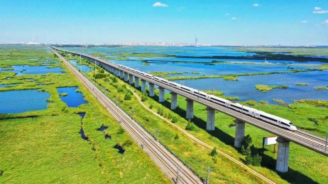 哈齐高铁开通运营7周年!