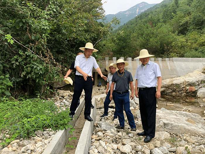 张肖赴安庆市督导抗旱和农村饮水工作_供水_岳西县_怀宁