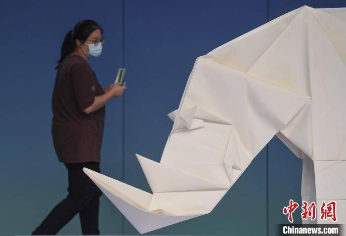 海内外艺术家纸艺精品杭州展出 1.4米高折纸白犀牛亮相