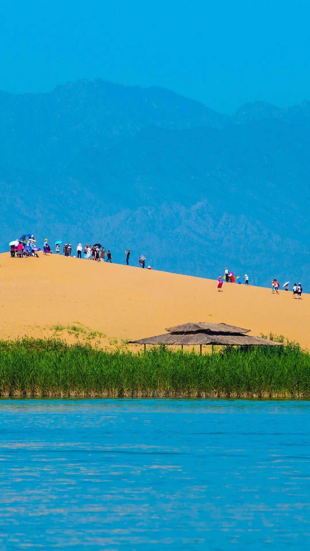 银川沙坡头景区图片图片