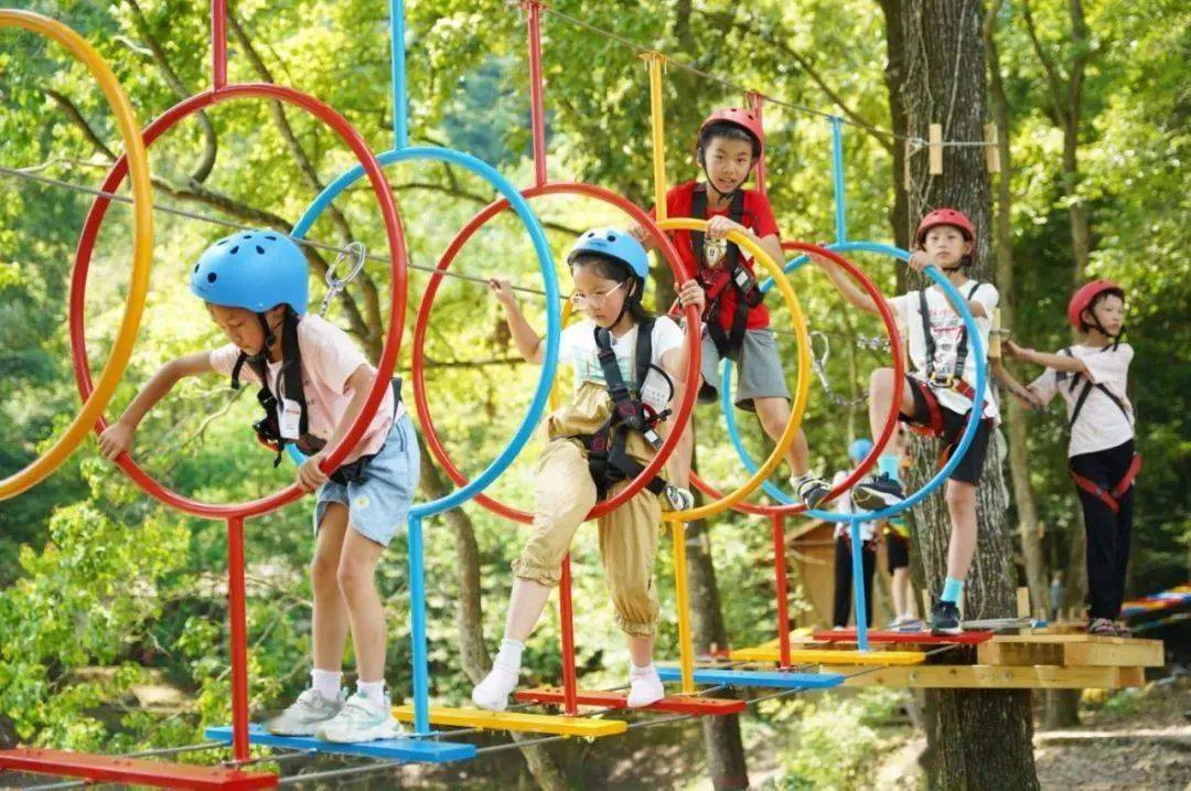 千岛湖避暑好去处——龙川湾丛林探险,让小朋友在大自然的怀抱里尽情