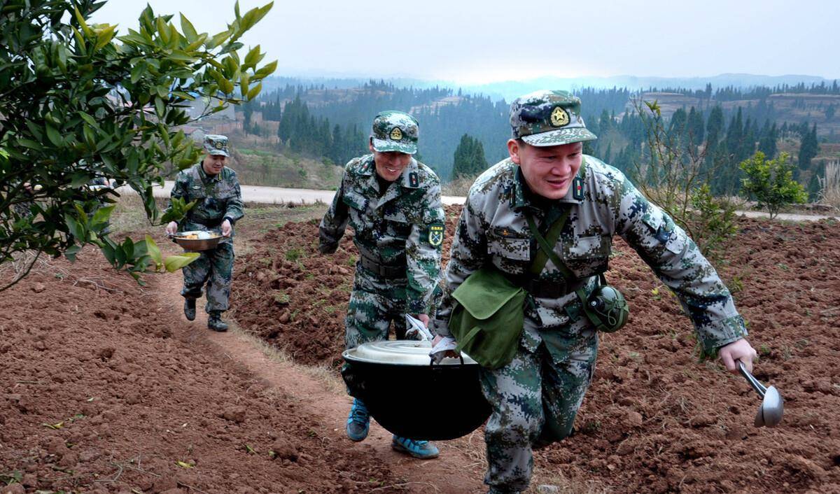 野猪群袭击炊事班,吃掉锅里的饭菜,咬伤炊事员,被战士们狂打_北大荒