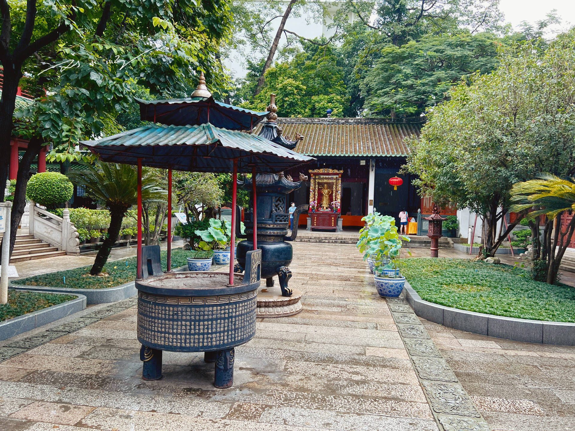 深圳有一處“五百年古寺”，即使曾有三棵樟樹而聞名於世
，與南禪寺同為