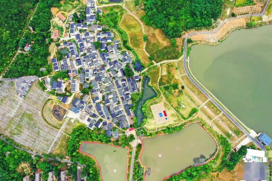 摄:方飞太子山林荫道 摄:鲍子文日出南京眼 摄:蔡桂琴小桃园 摄:王昆