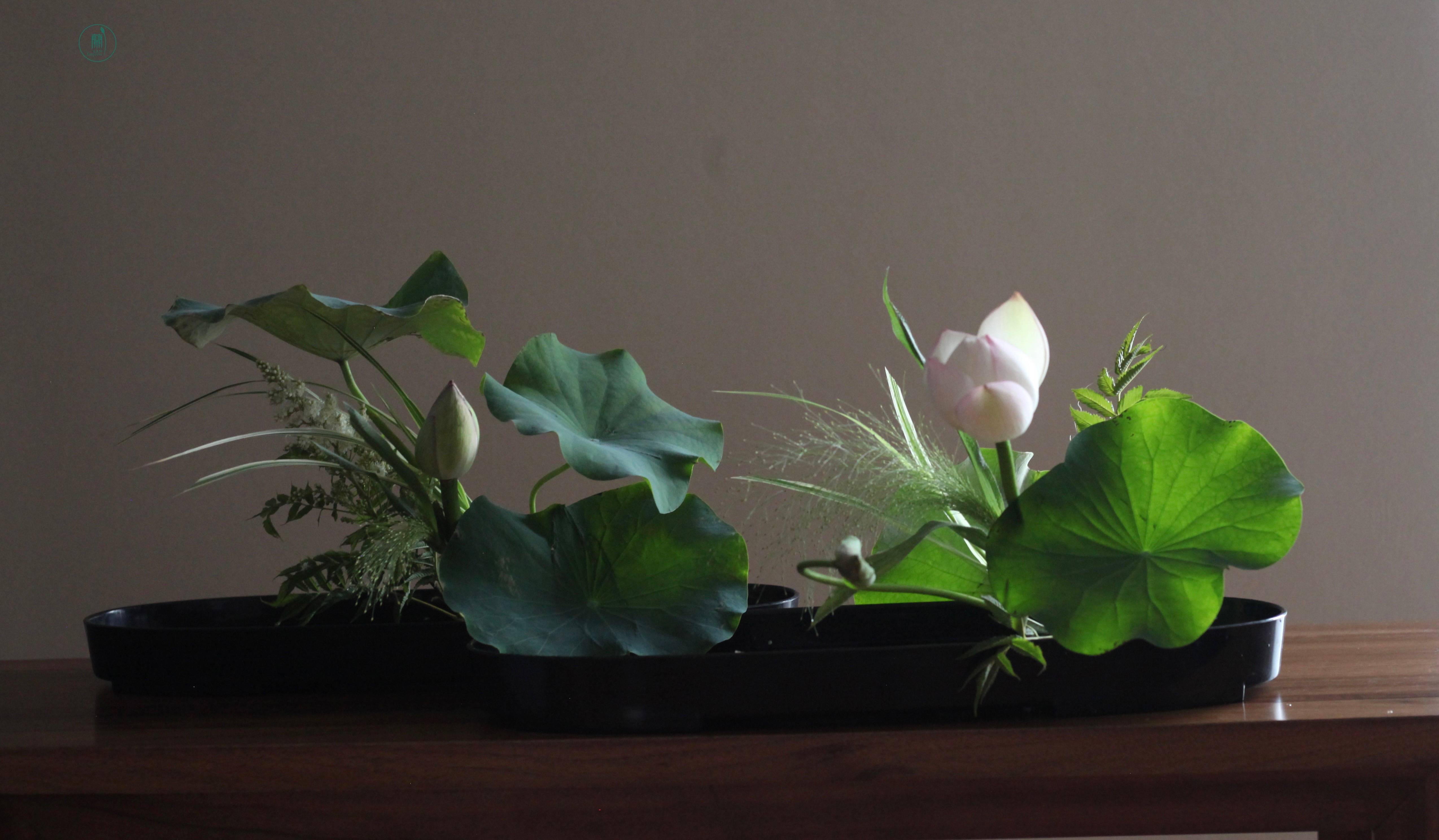 西安插花培训|蘭印象小原流花道教室#花道课