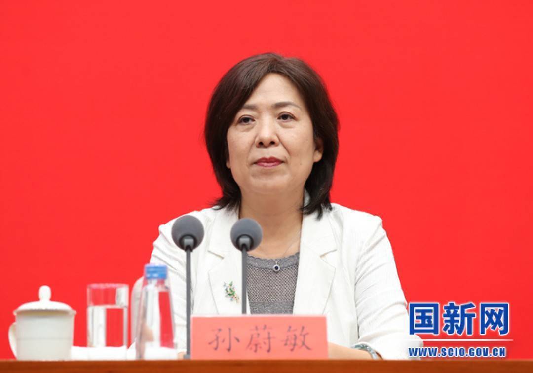 办:始终支持企业依法依规合理利用境外资本融资发展_审查_孙蔚敏_中国