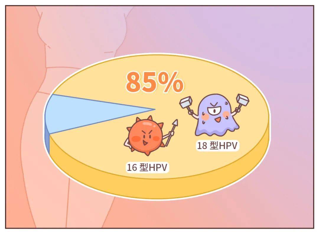 hpv病毒並不一定會導致宮頸癌但還是需要預防_hpv_發展_感染者