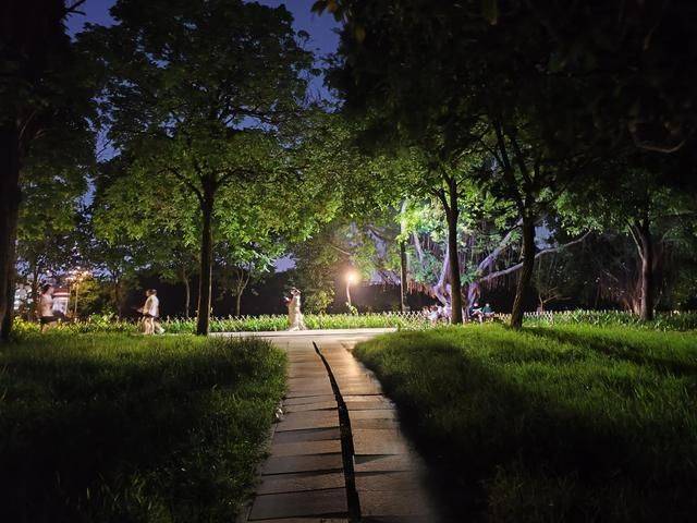 广州夜游好去处，这个中央大公园你可别错过，他消暑一夏