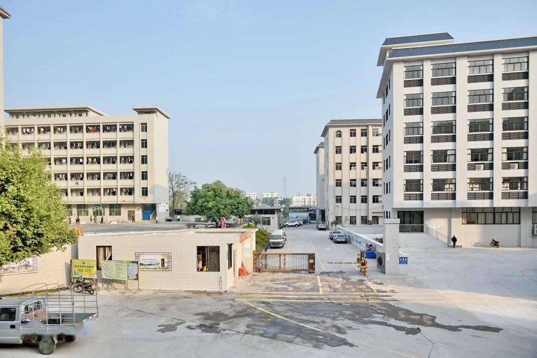 这家在罗定开办了24年的学校现正火热招生中!