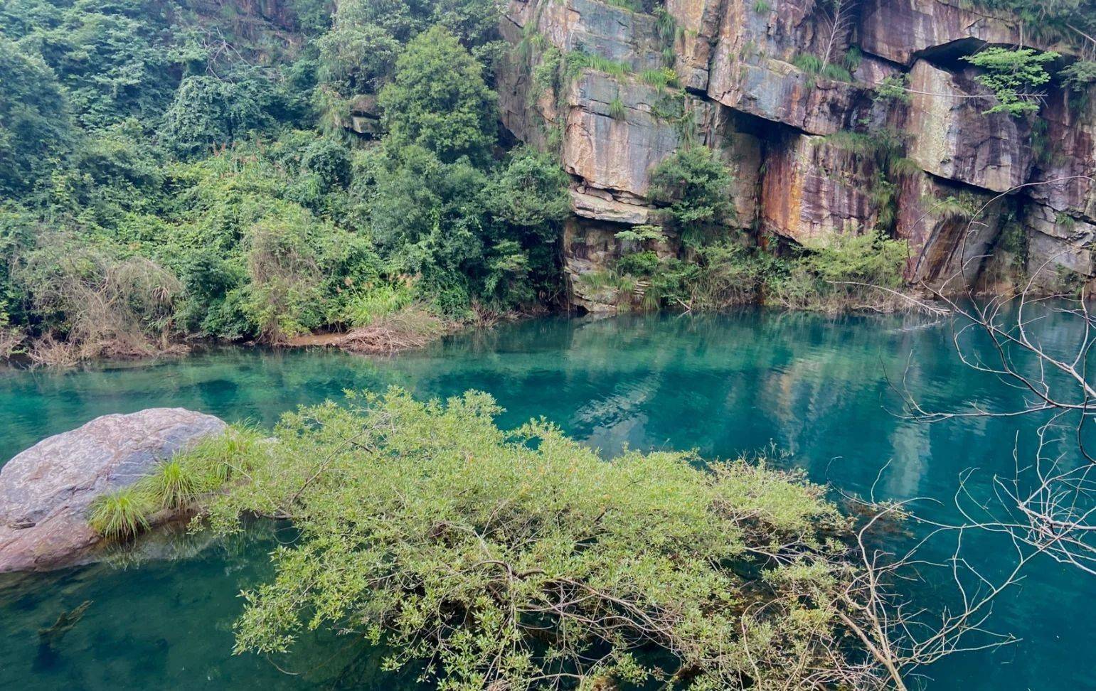 我在碧龙潭遇见绝美星河,仙居淡竹夏日旅途