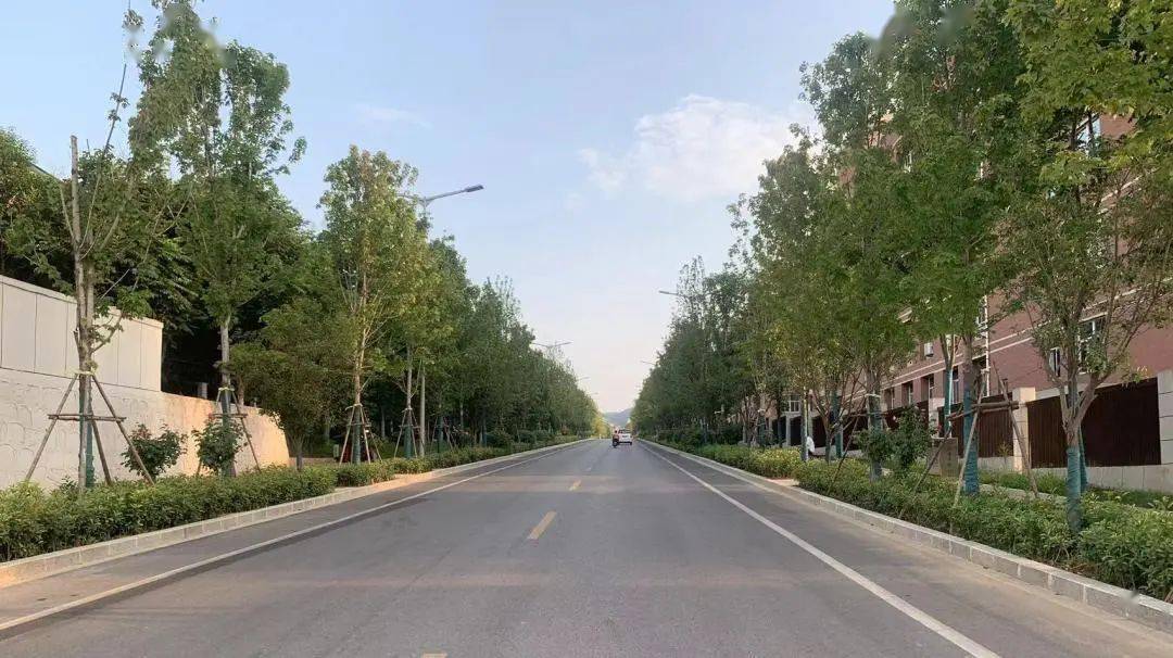 阎良这条路上榜!7月份西安市最佳路段结果公布!_城市_全段_大道