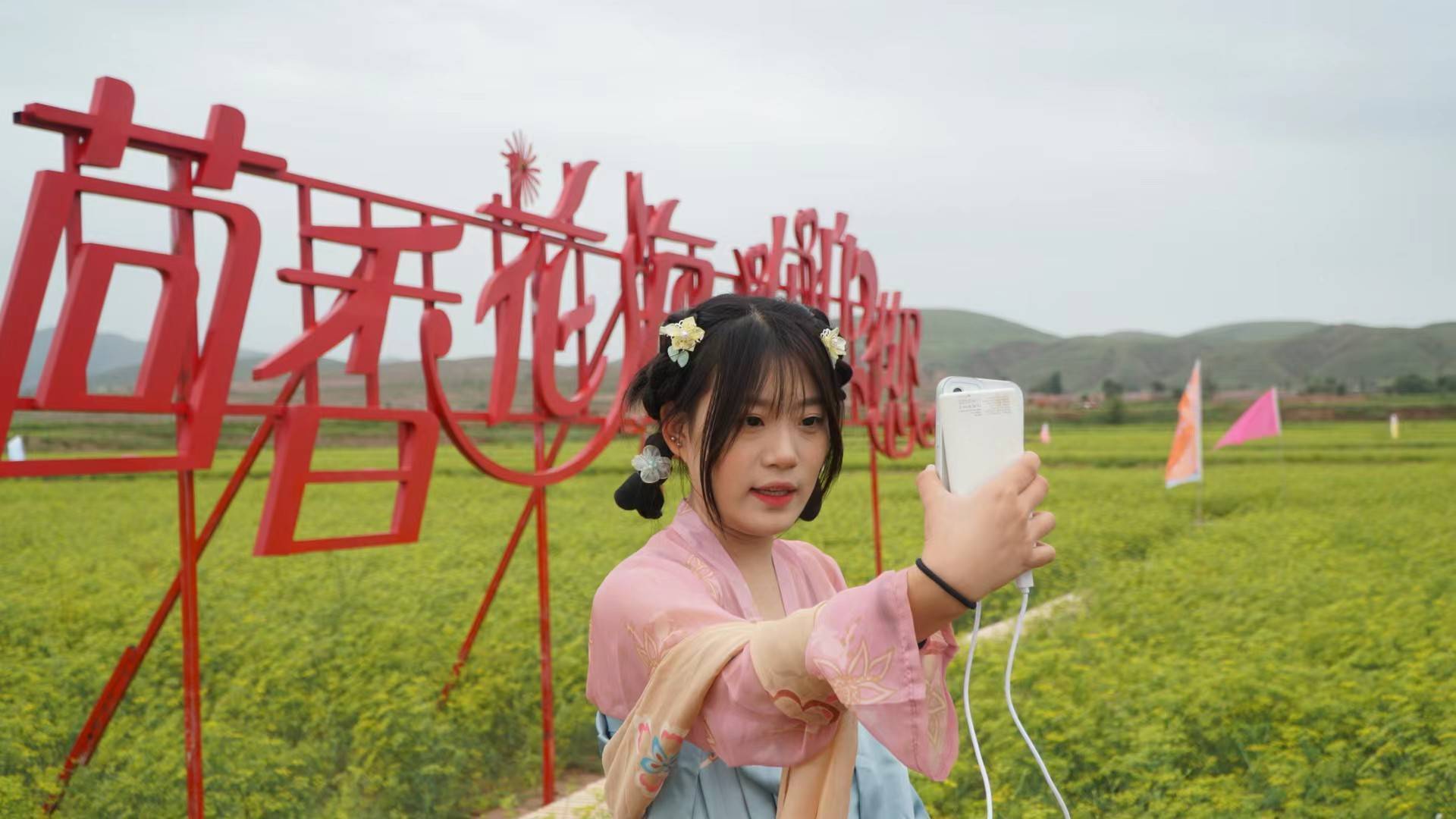 悠悠丝路情,醉美滩羊肉 海原县西安镇乡村文化旅游节盛大开幕!