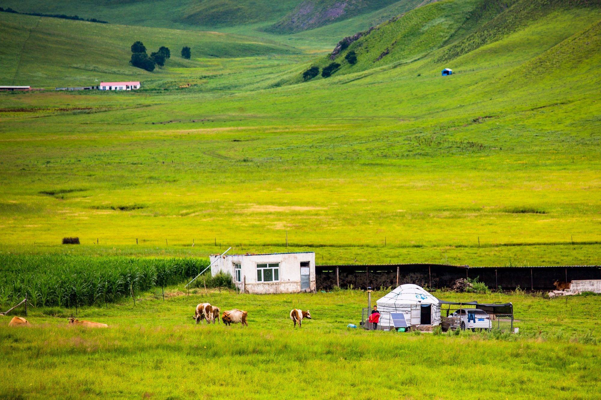 内蒙古乌兰毛都草原，被誉为“心灵牧场”，这里有独特的草原风光