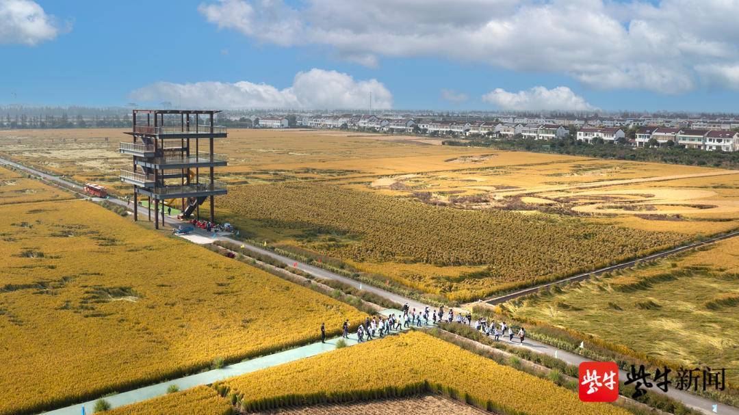 常阴沙实验基地图片