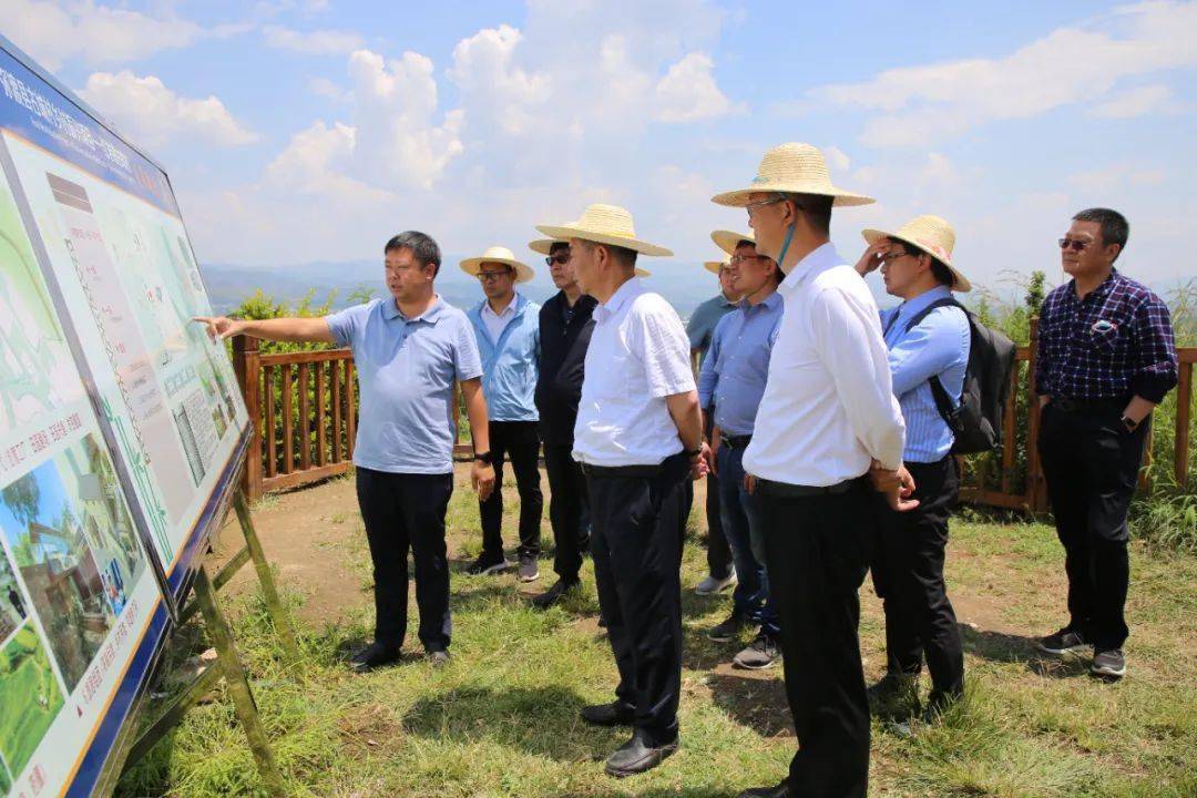 调研组在县委副书记,县长马志翔,副县长陈贵兵的陪同下,先后到红岩镇