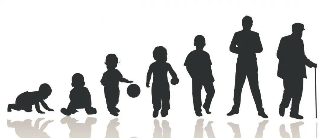 以年龄不平等为中心:一个年龄社会学框架 | 社论前沿_社会生活_研究_老年