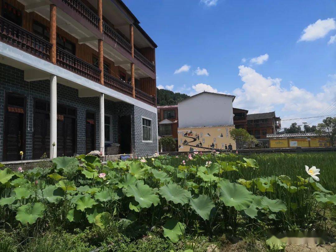 【关注】麻江县河坝村:一户庭院一处风景_龙山镇_村民_环境
