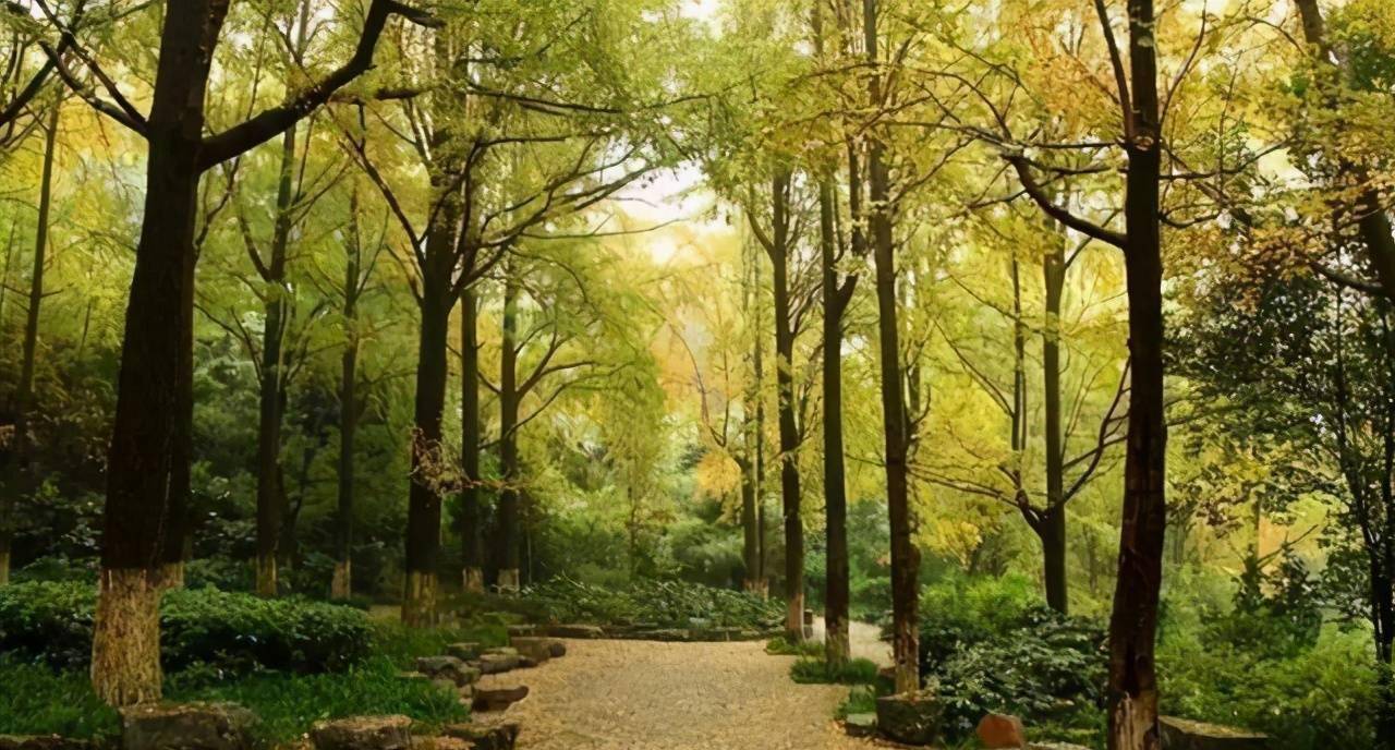 南京清凉山公园，一座藏匿在繁华都市的城市山林，关键是免费开放