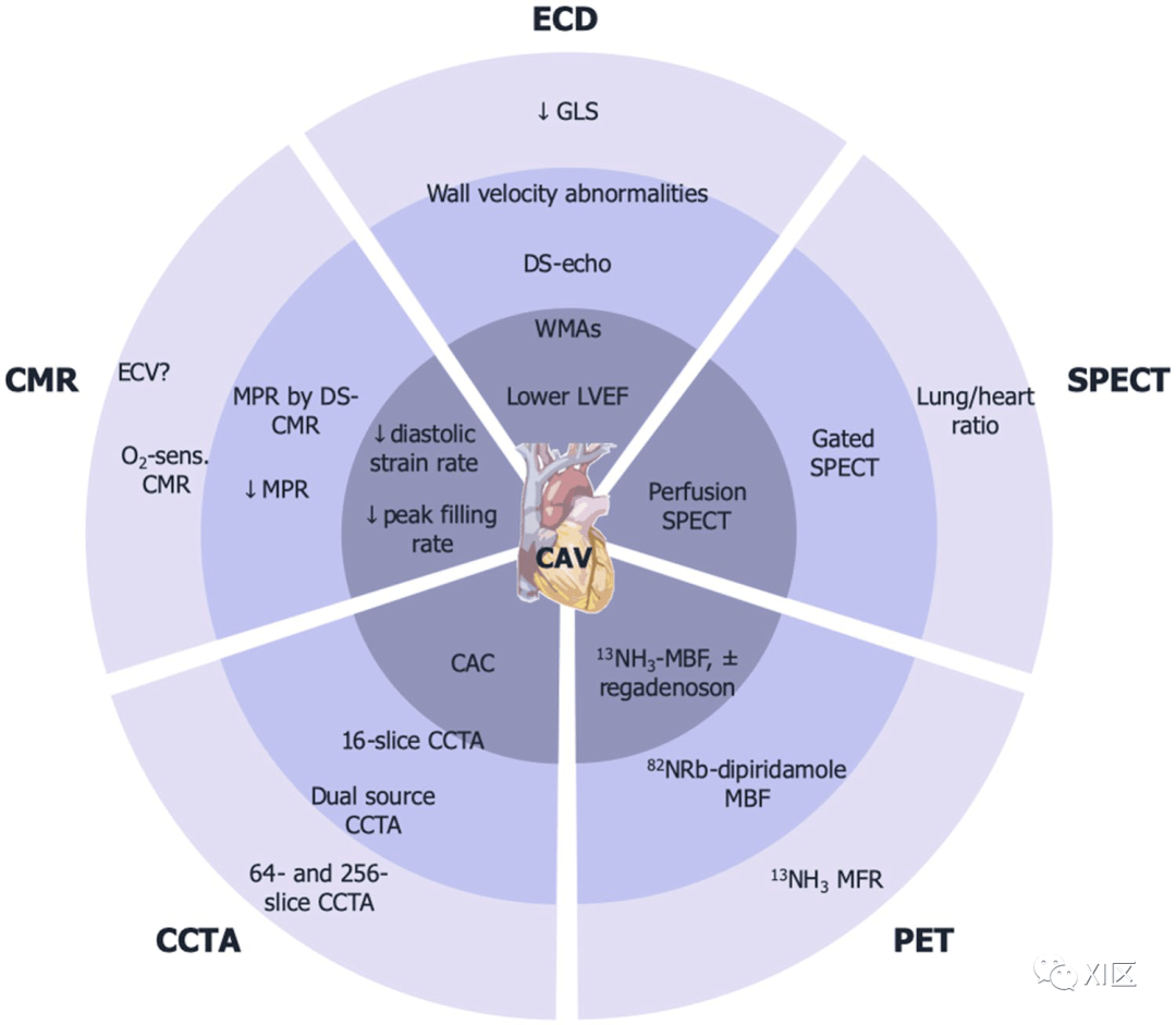 ct技術在心臟移植物血管病中的價值_冠狀動脈_診斷_患者