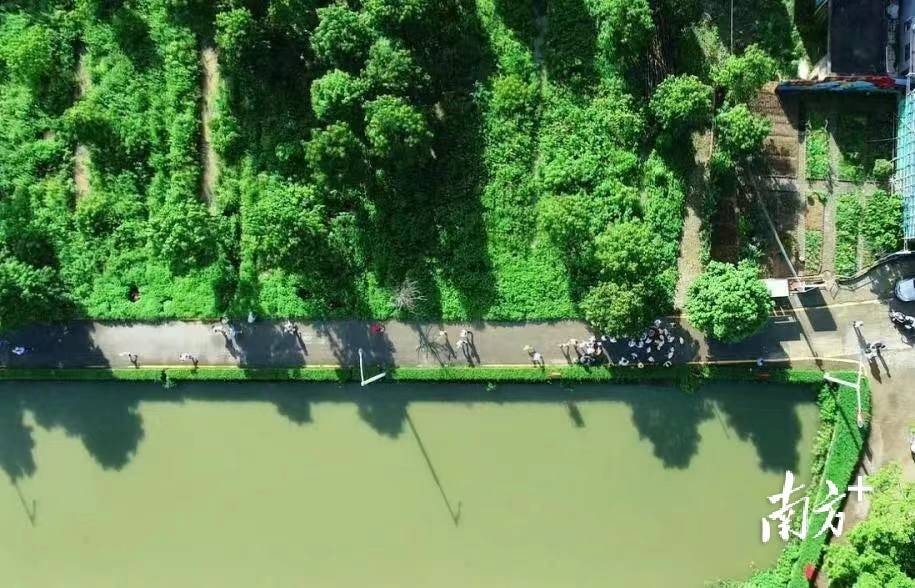 中山民众街道这场欢乐跑带你看岭南水乡美景_活动_乡村_群众