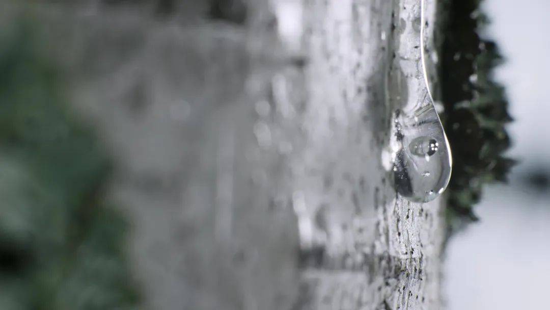 护肤新主张,无水更有效!养生堂无水护肤开创者 护肤新主张,无水更有效!养生堂无水护肤开创者