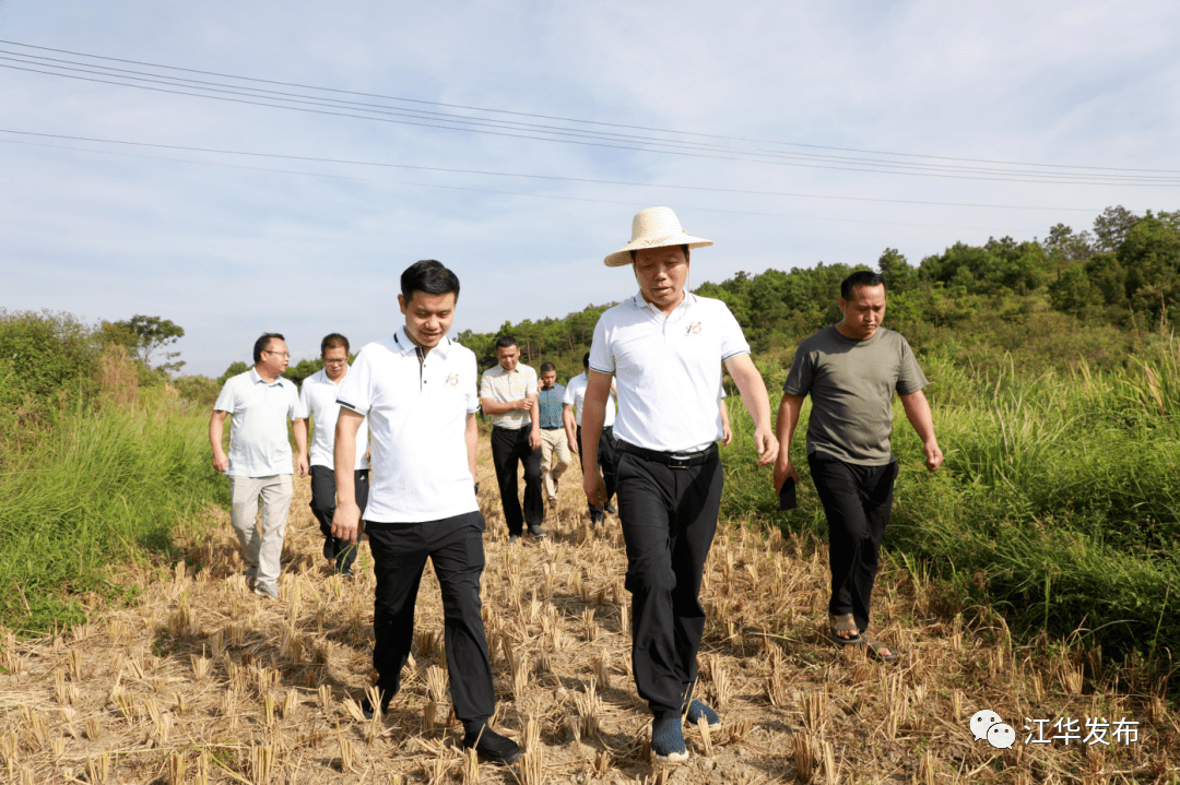 8月23日,县委书记段贵建率队深入各乡镇指导调研抗旱保收,粮食生产
